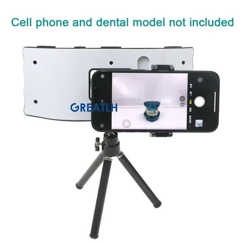 구강 치과 사진 조명 치과 플래시 라이트 사진 장비 구 - Photography Lighting Equipment 리뷰 및 가격